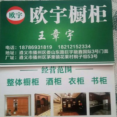 橱柜衣柜酒柜欧宇整体橱柜