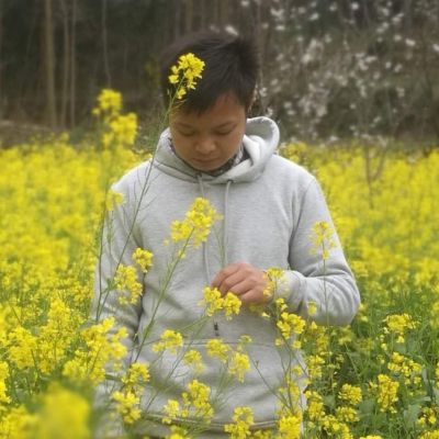 自媒体短视频自媒体快递导航验证网络推广