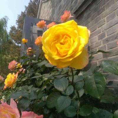 空调安装维修空调维修安装