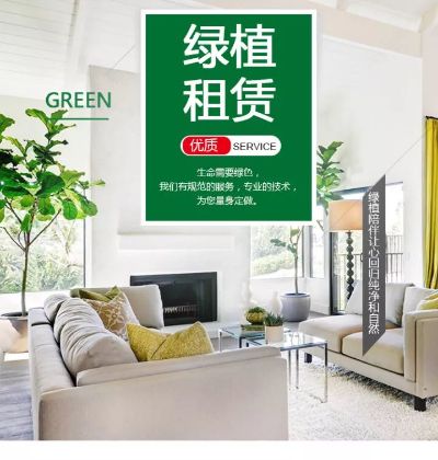 绿植租赁租摆绿植租赁