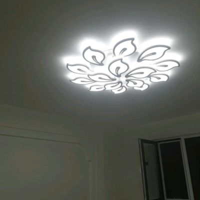 承揽亮化工程路灯安防弱电，灯具开关插座安装维修，专业改电。