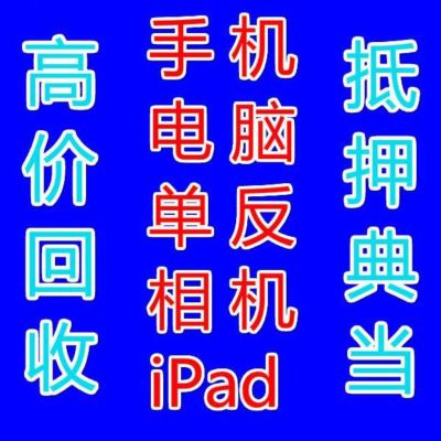 专业