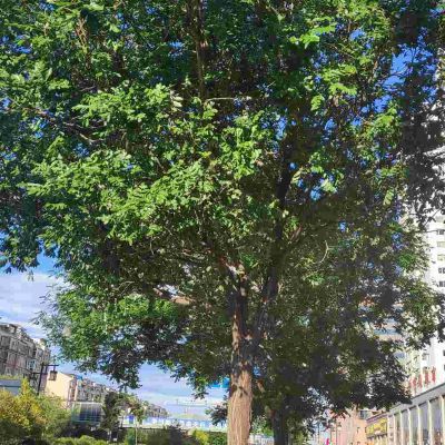 净水机饮水机净水机饮水机热水器卫浴锁具灯具