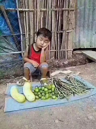 全能派