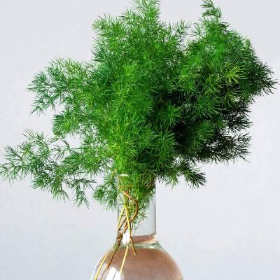 装修维修师父