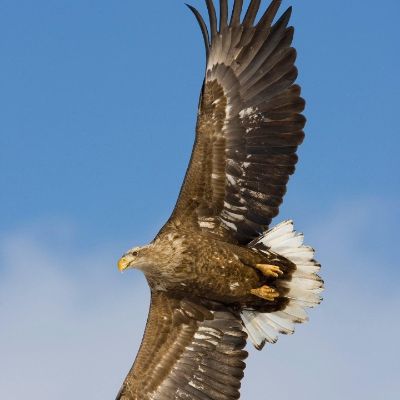 水电焊暖气水管净化风柜控制焊铜管