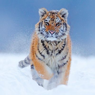 室内设计景观室内设计景观