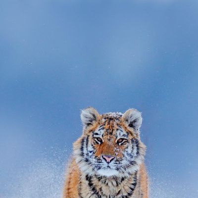 电脑维修监控门禁安装网络布线空调维修