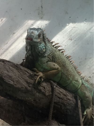 家电清洗家电清洗