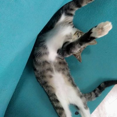 空调维修安装空调安装维修