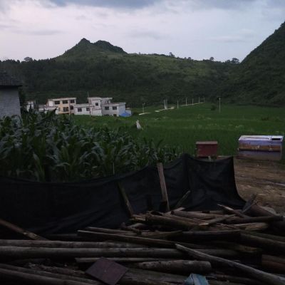 地板卫生间