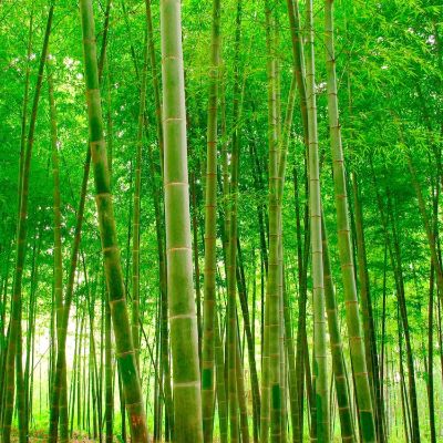 提货配送仓储配送代收快递烟酒副食