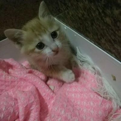 佛山市禅城区南庄镇旧房改造项目，量房中