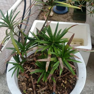 水电木工安装洁具安装维修