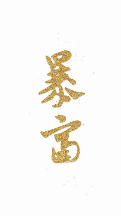 设计装修团队