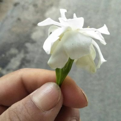 专业水电承接水电消防