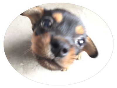 各种行业
