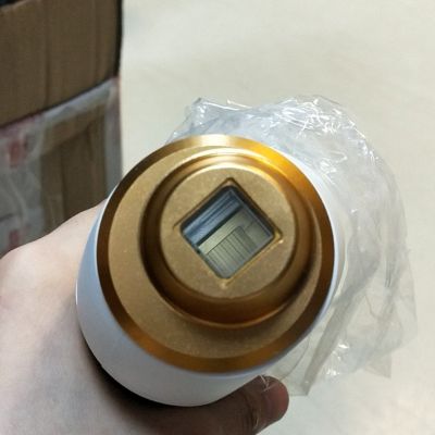 文员