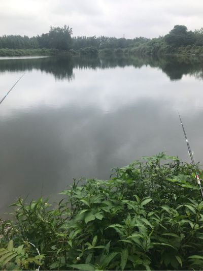 装饰装修