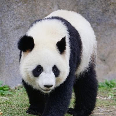 各类安装货运安装运输