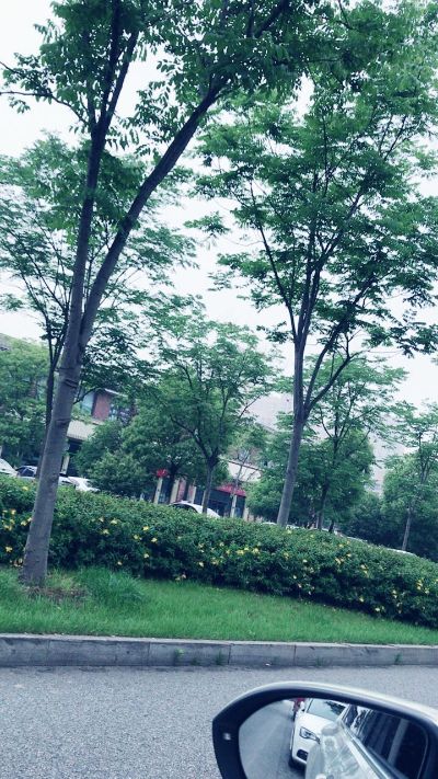 监控安防网络