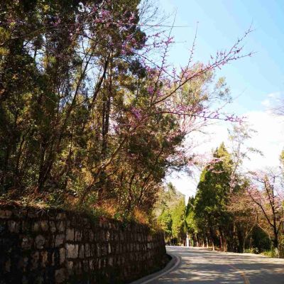 整装木工专业家装工装