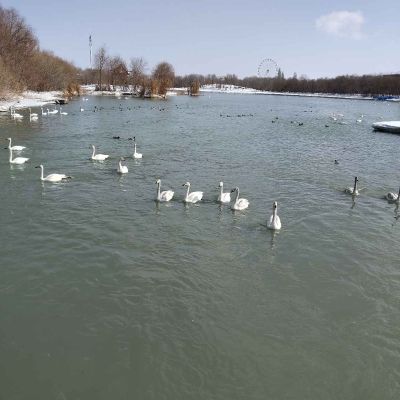 专业维修电脑办公