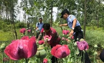 活着就是一种幸福