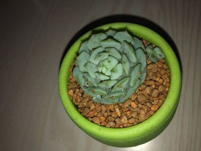 水电