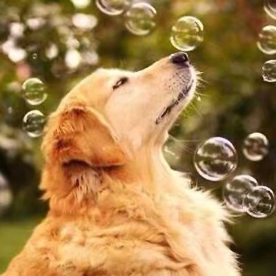 沭阳实木地板多层地板安装13914969659