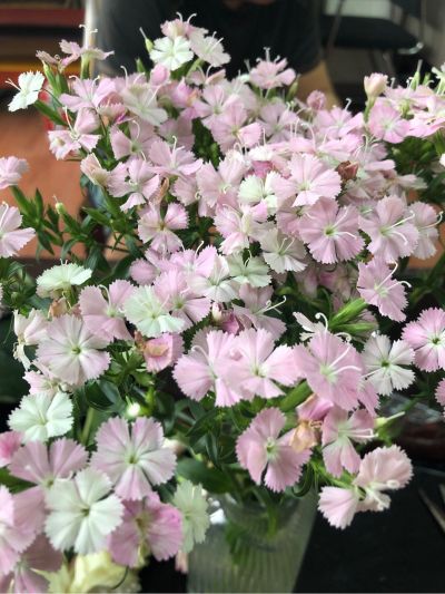 我有两套花洒需要安装，但是需要拆旧。