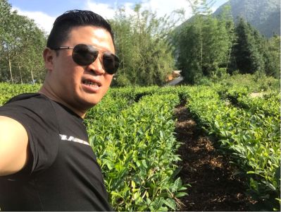 无建筑设计整装