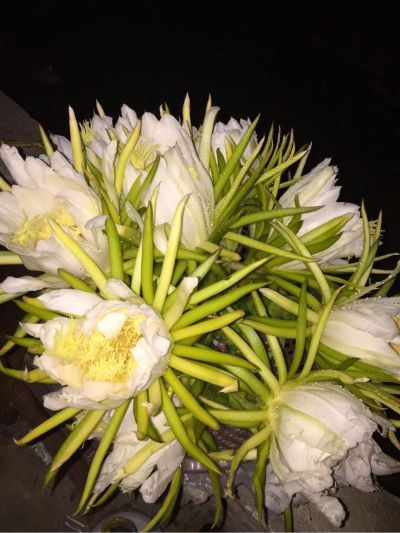 水电安装维修水电木门安装