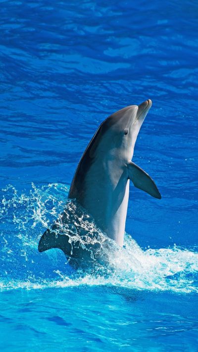 家具安装维修旧房翻新卫生间改造