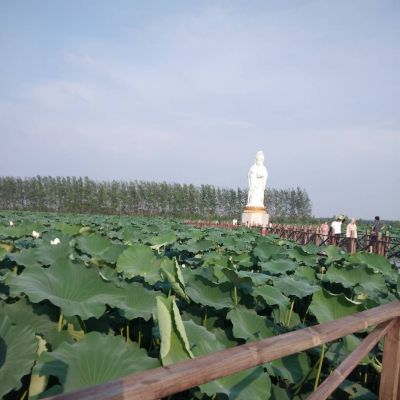 吊顶组装家具