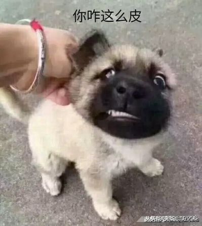 维修水电