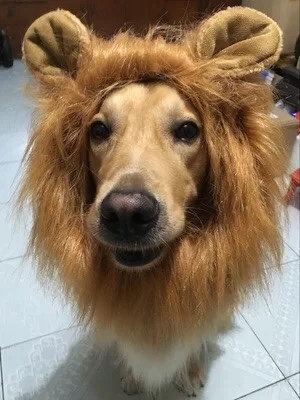 服务行业