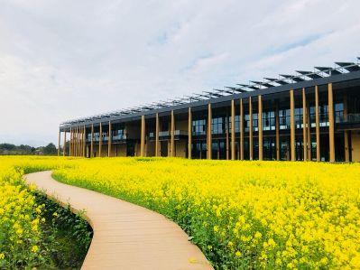 维修安装电器安装卫浴电器太阳能维修