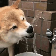 计算机