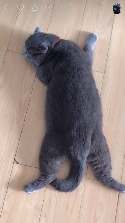 工程