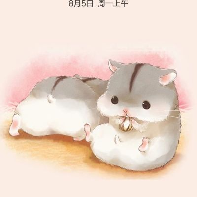瓷砖美缝