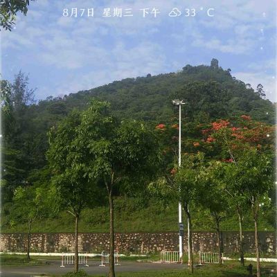 高级