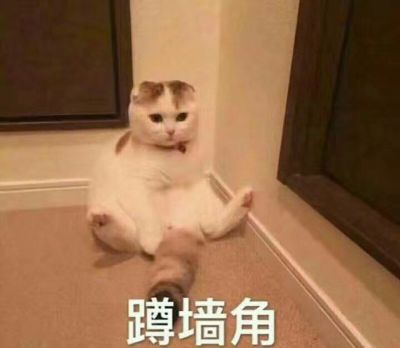 家装