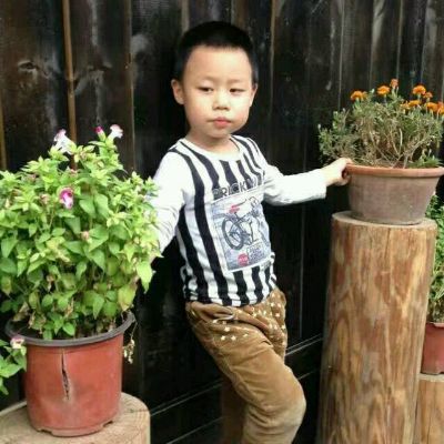 专业灯具安装