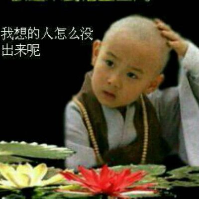 货运搬家家政
