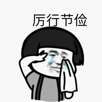 宠物