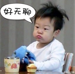 工程技术咨询家居全屋定制