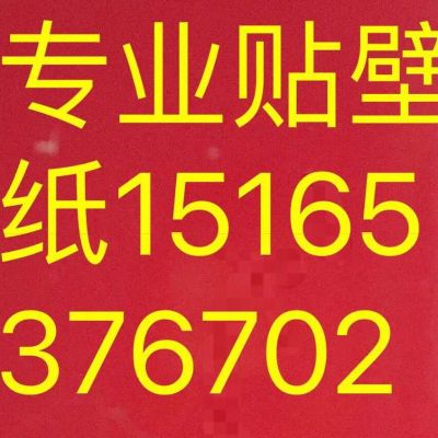 专业贴壁纸