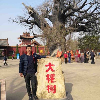 各种木门安装
