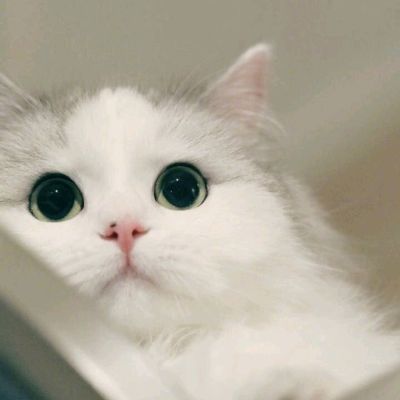 电子行业